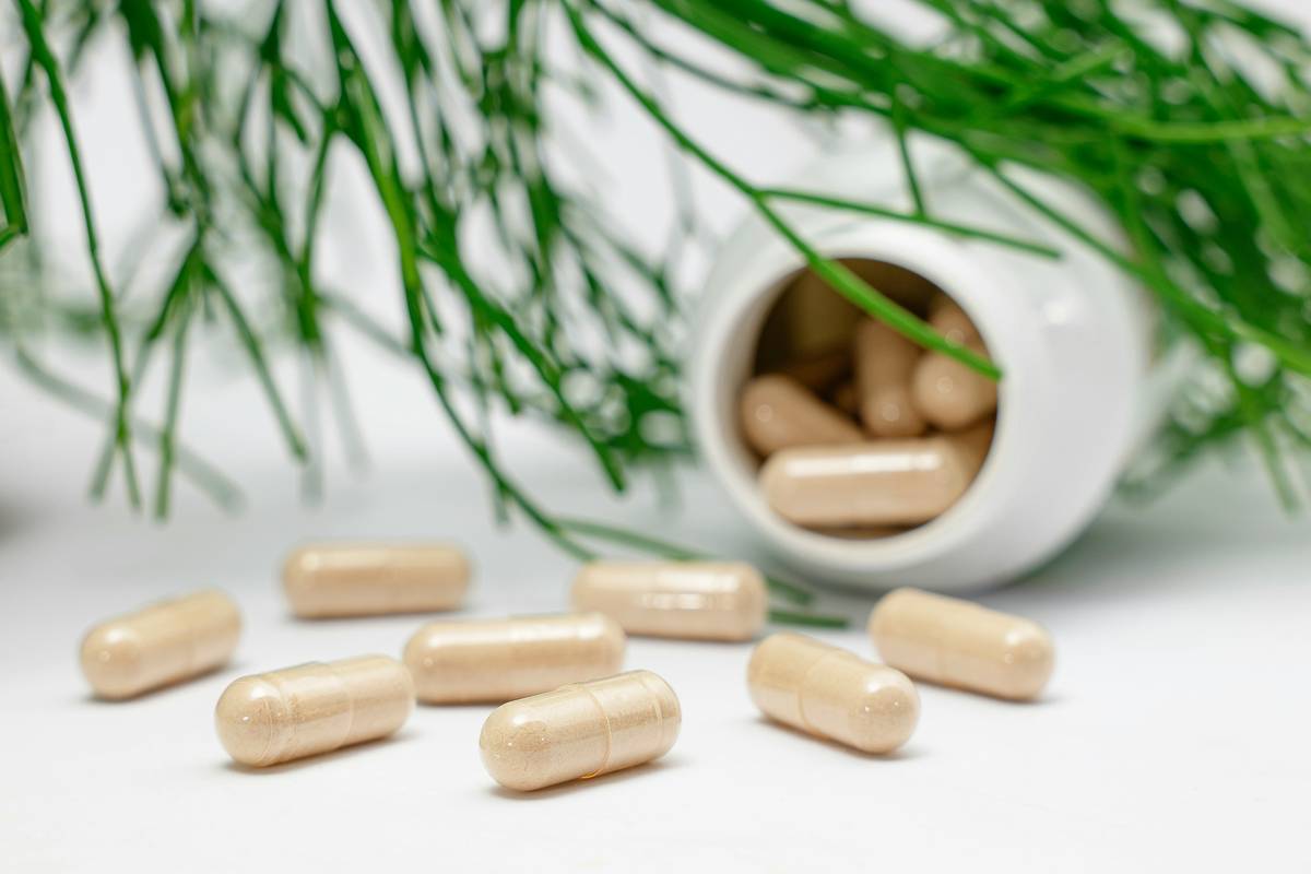 Saw Palmetto Supplement: The Overlooked Ally in Men’s Prostate Health